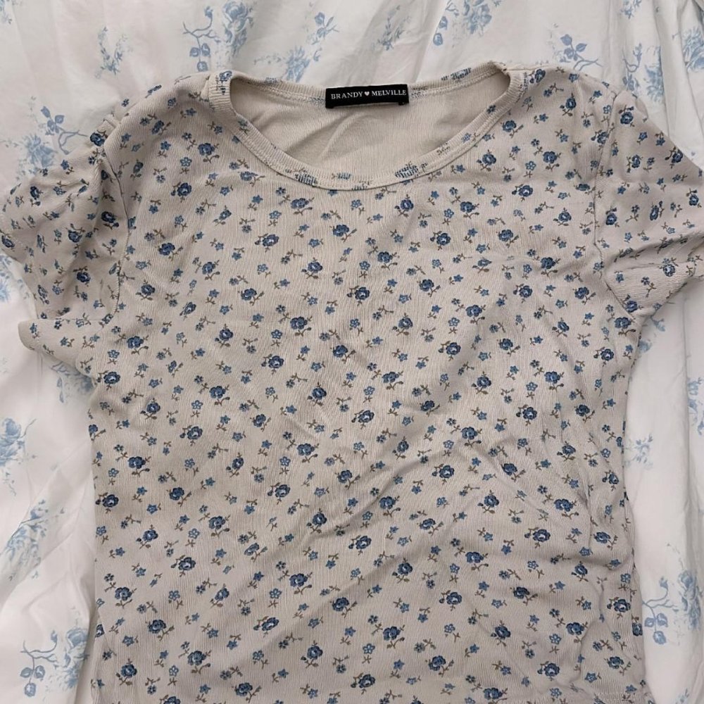Brandy melville blue Floral Ashlyn Top cropped baby tee like new, no flaws